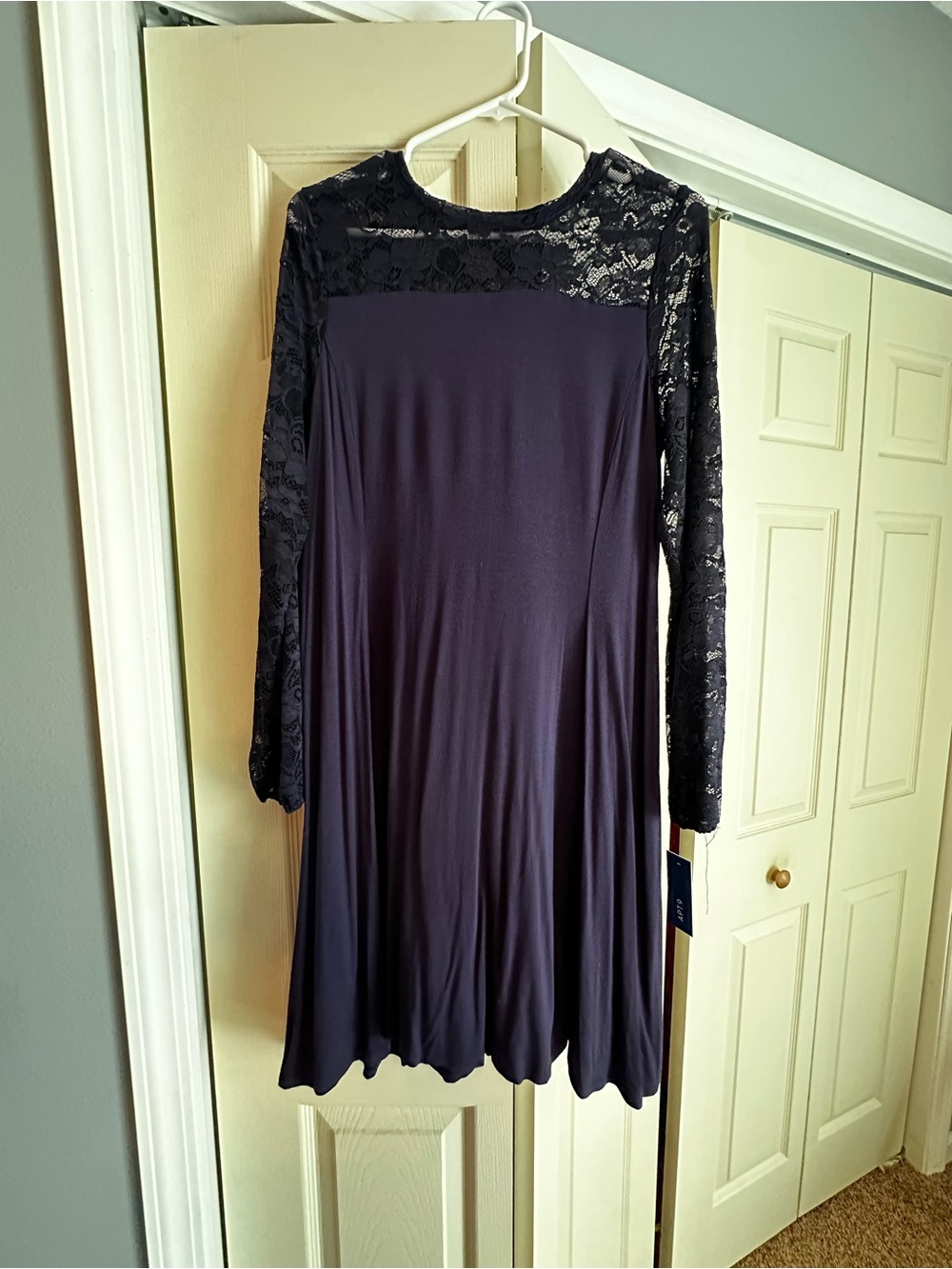 Women's Long Sleeve Lace Blue Swing Dress